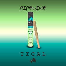 Tical | 1g PreRoll - Pipeline