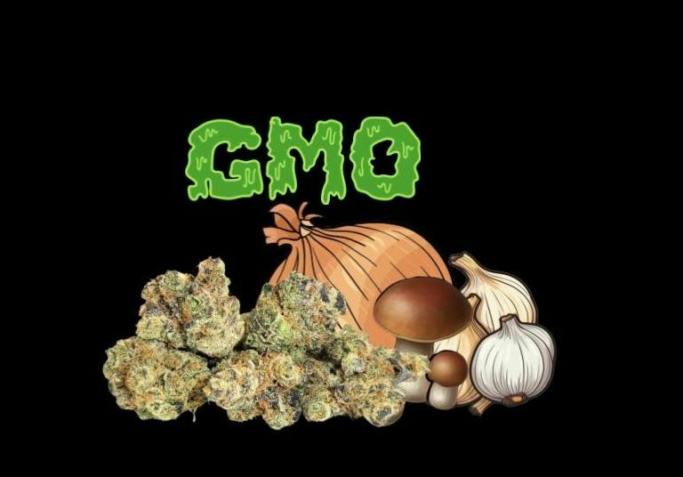 GMO - 1/2
