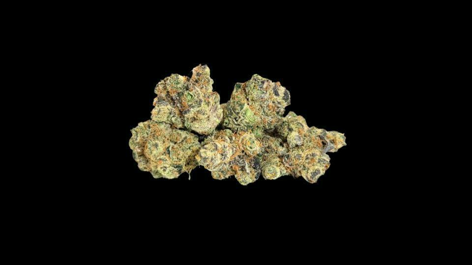 GMO - 1G
