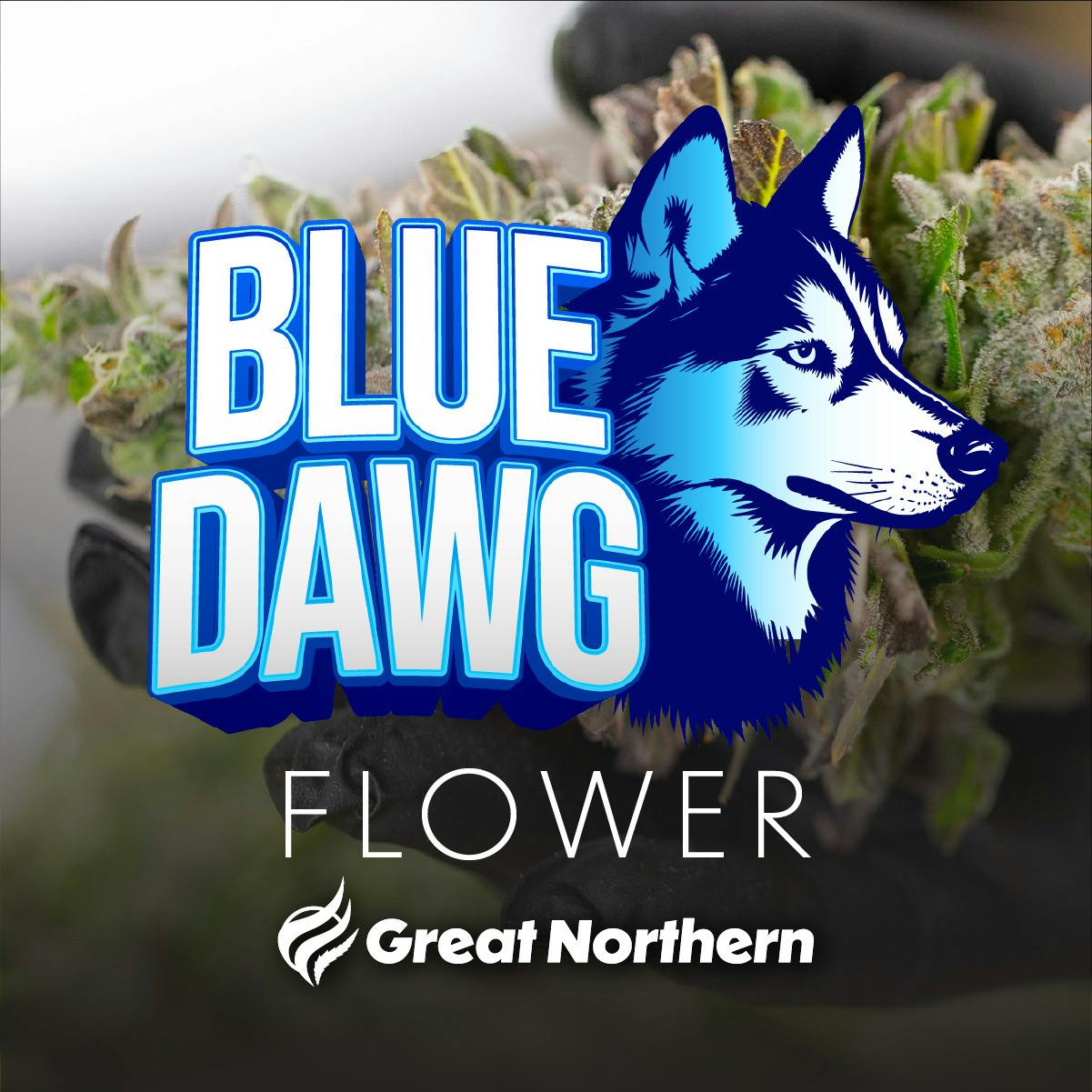 Gnc Blue Dawg Deli