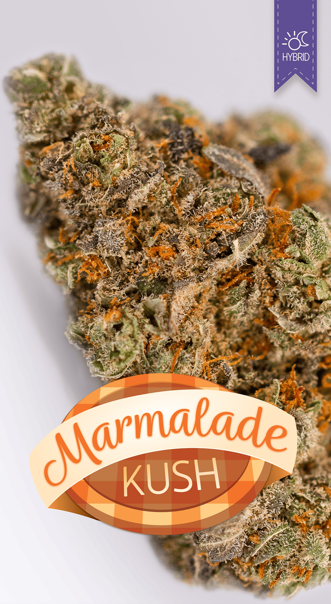 GNC Marmalade Kush DELI Flower (H)
