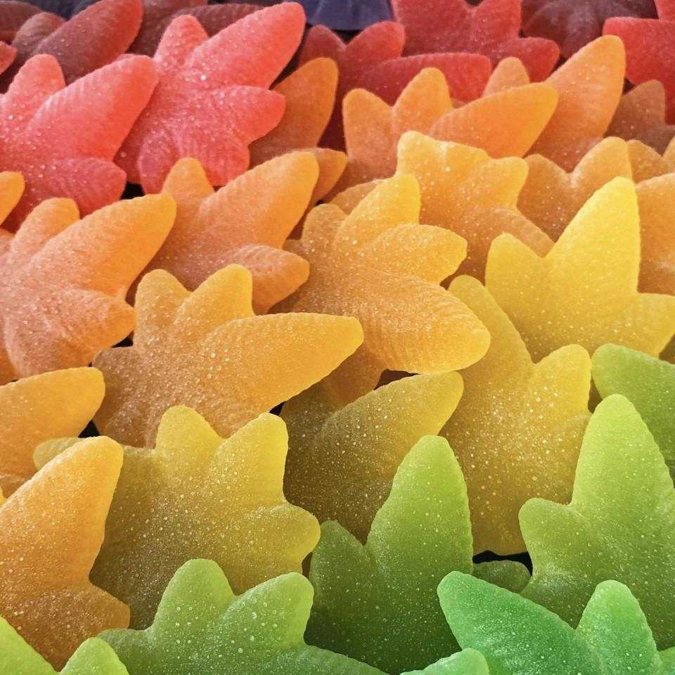 Sleeping Lady Variety Indica Boingos | 10pk | 100mg total