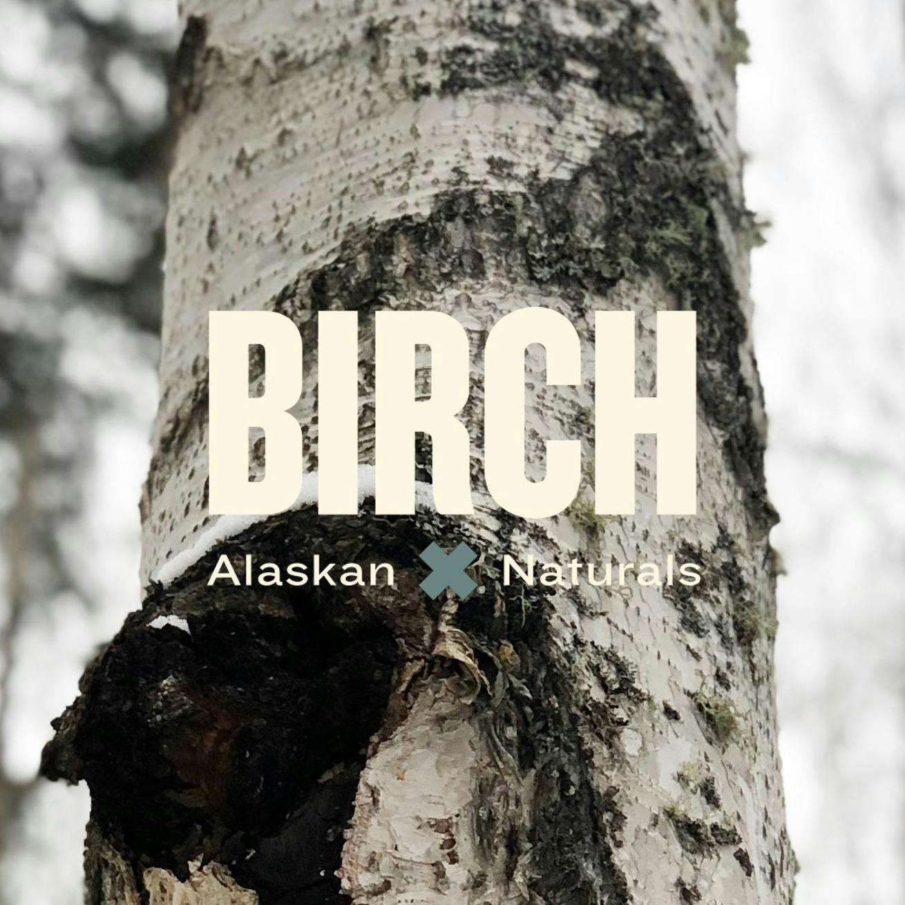 Cranberry Chaga CBD Tincture 1000MG