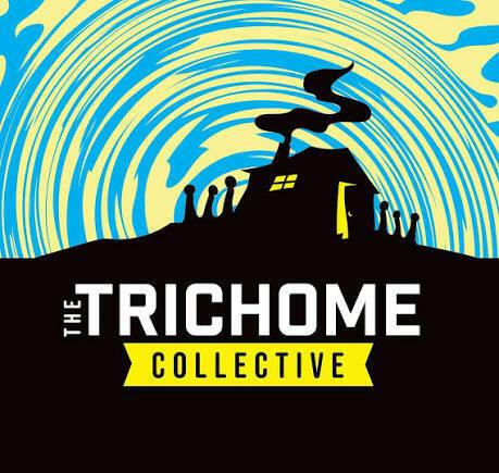 The Trichome Collective- 2g Rosin - Black Maple