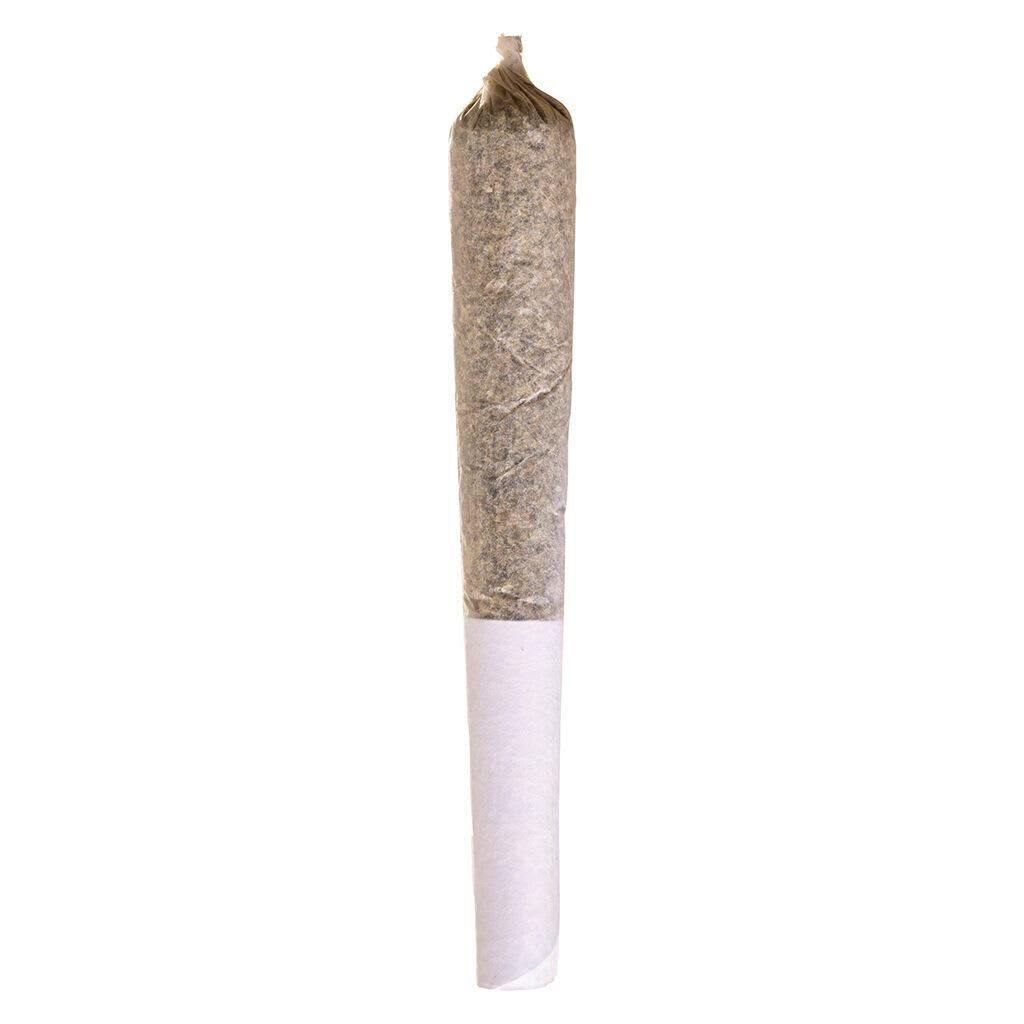 Potluck - Apple Fritter Pre-Roll - 1x
