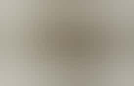 BB - Cheetah Piss (1/8) - Indica