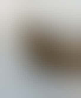 BB - Oreo Cake (1/8) - Indica