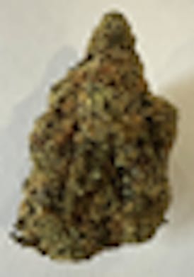 BB- Cherry Bomb (1/8) - Hybrid