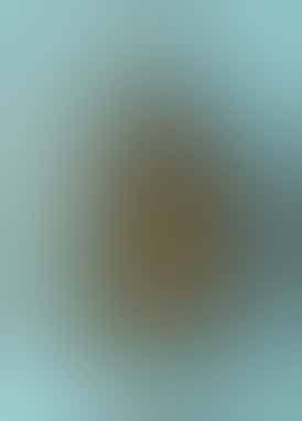 CW - Gary Payton (1/8) - Hybrid