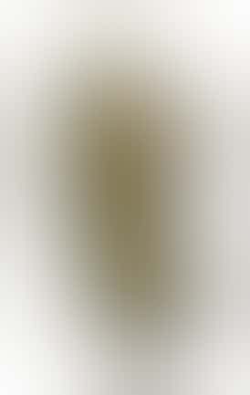 CWY-Cap Junky 1/8th Flower- Hybrid