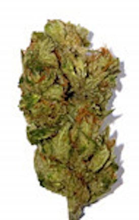 CWY-Cap Junky 1G Flower- Hybrid