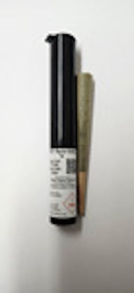 DP - Bacio Gelato (1G) Pre-Roll (Hybrid)