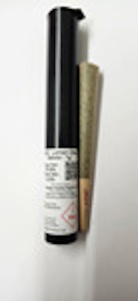 DP - Lemon Cherry Gelato 1G Pre-Roll (Hybrid)