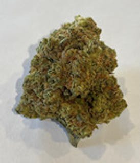 DPF - Gushers x Gelato #10 (1/8) - Indica