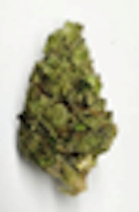 DPF - Citralato (1 g) - Hybrid