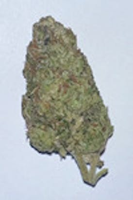 DPF - Pink Runtz (1g) - Hybrid
