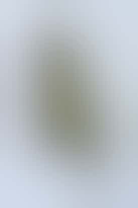 DPF - Pink Runtz (1/8) - Hybrid