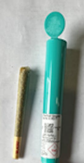 DV - Runtz x RS11 (1g) Pre-Roll (Hybrid)