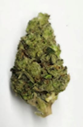 DPF - Citralato (1/8) - Hybrid