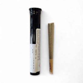 DPF- Cheetah Piss (1g) Pre Roll -(Indica)