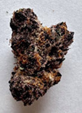 SCF - Trop Cherry (1/8) - Sativa