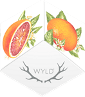 WYLD - Blood Orange (100mg THC/ 100mg CBC) Sativa Enhanced