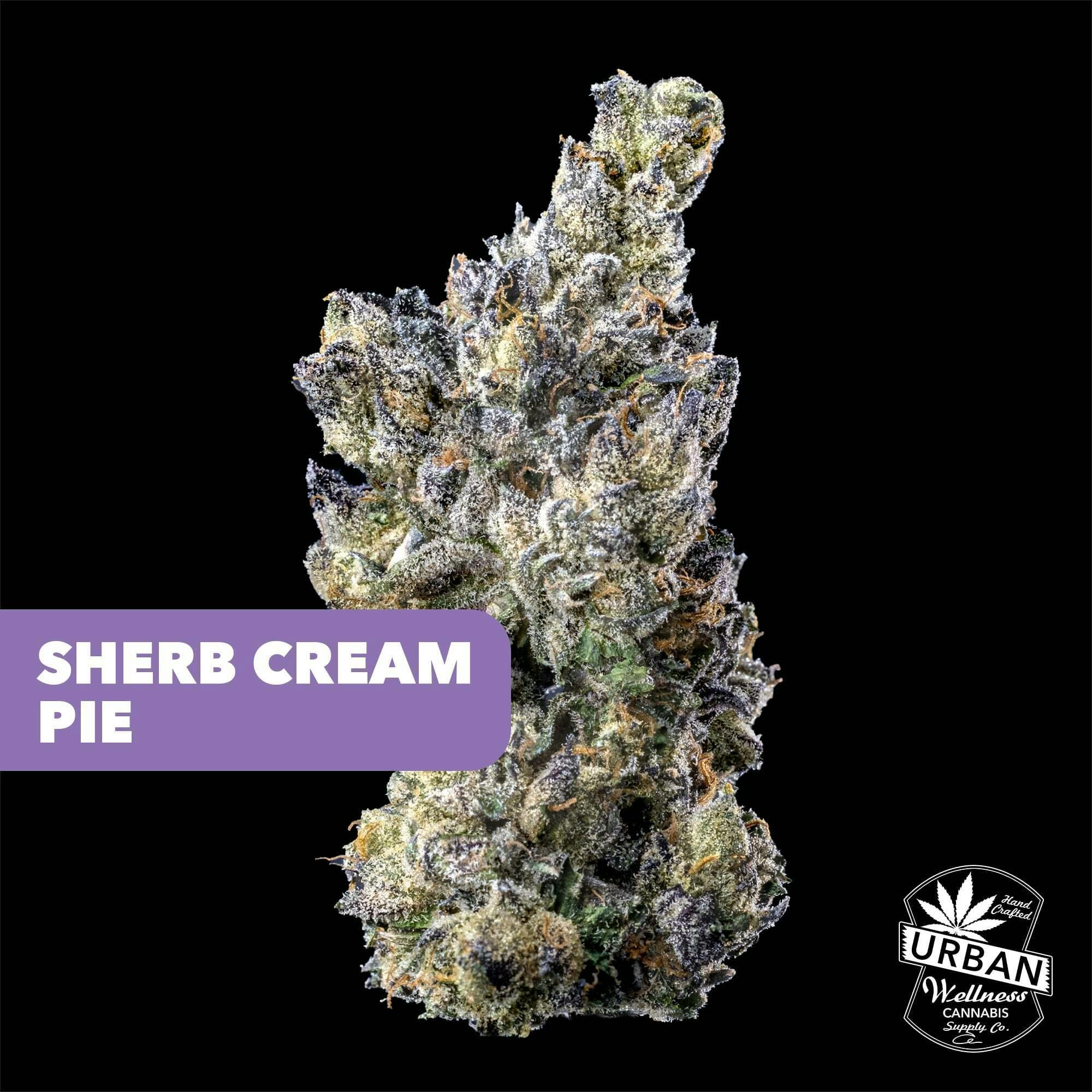 Black Label - Sherb Cream Pie | Urban Wellness