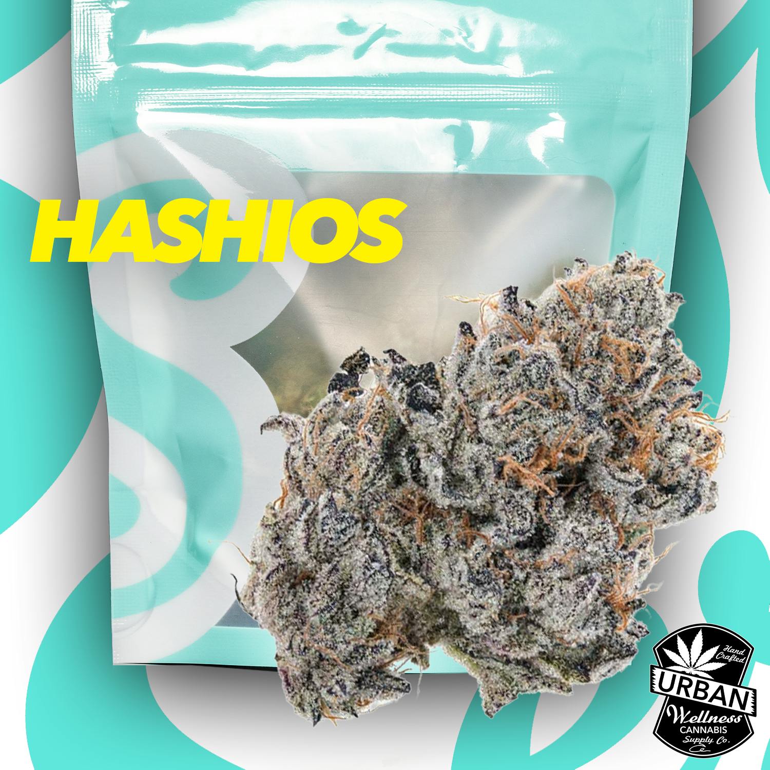Hashios