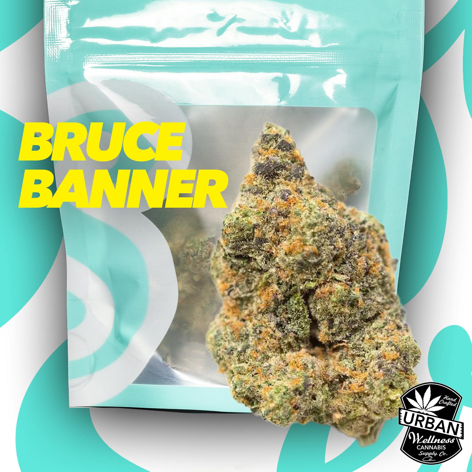 Bruce Banner at Urban Wellness Cannabis Dispensary - Taos