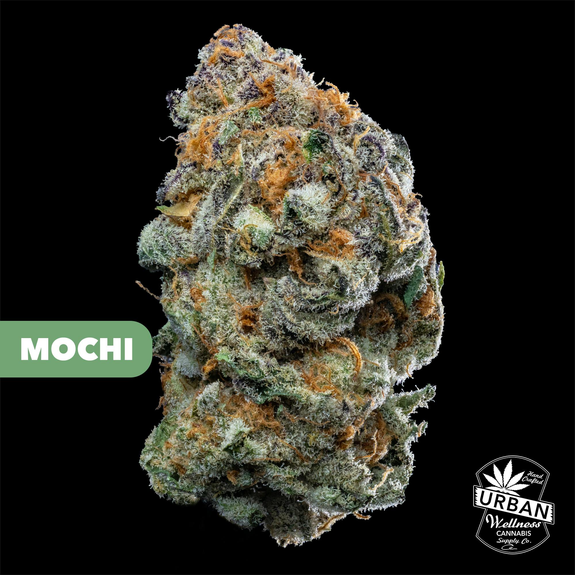 Mochi