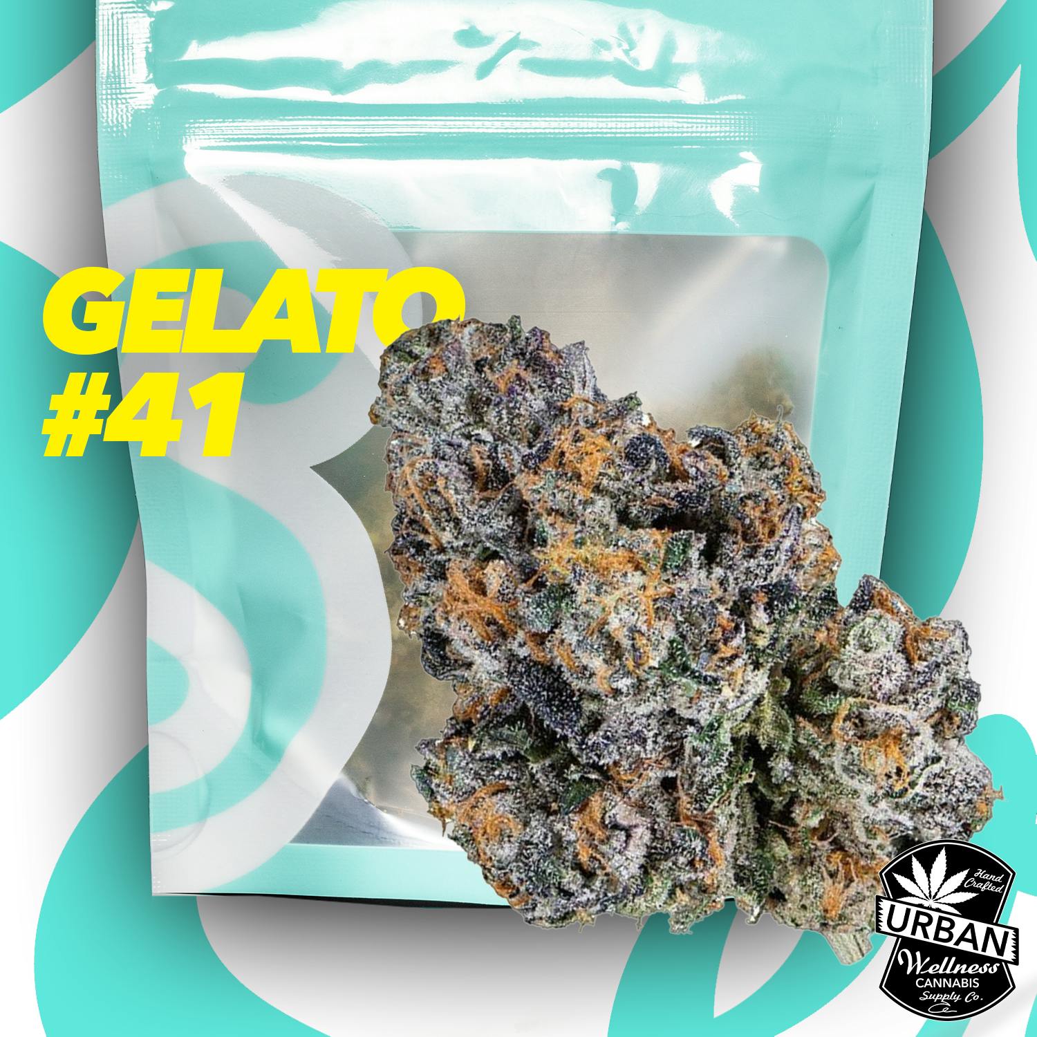 Gelato #41