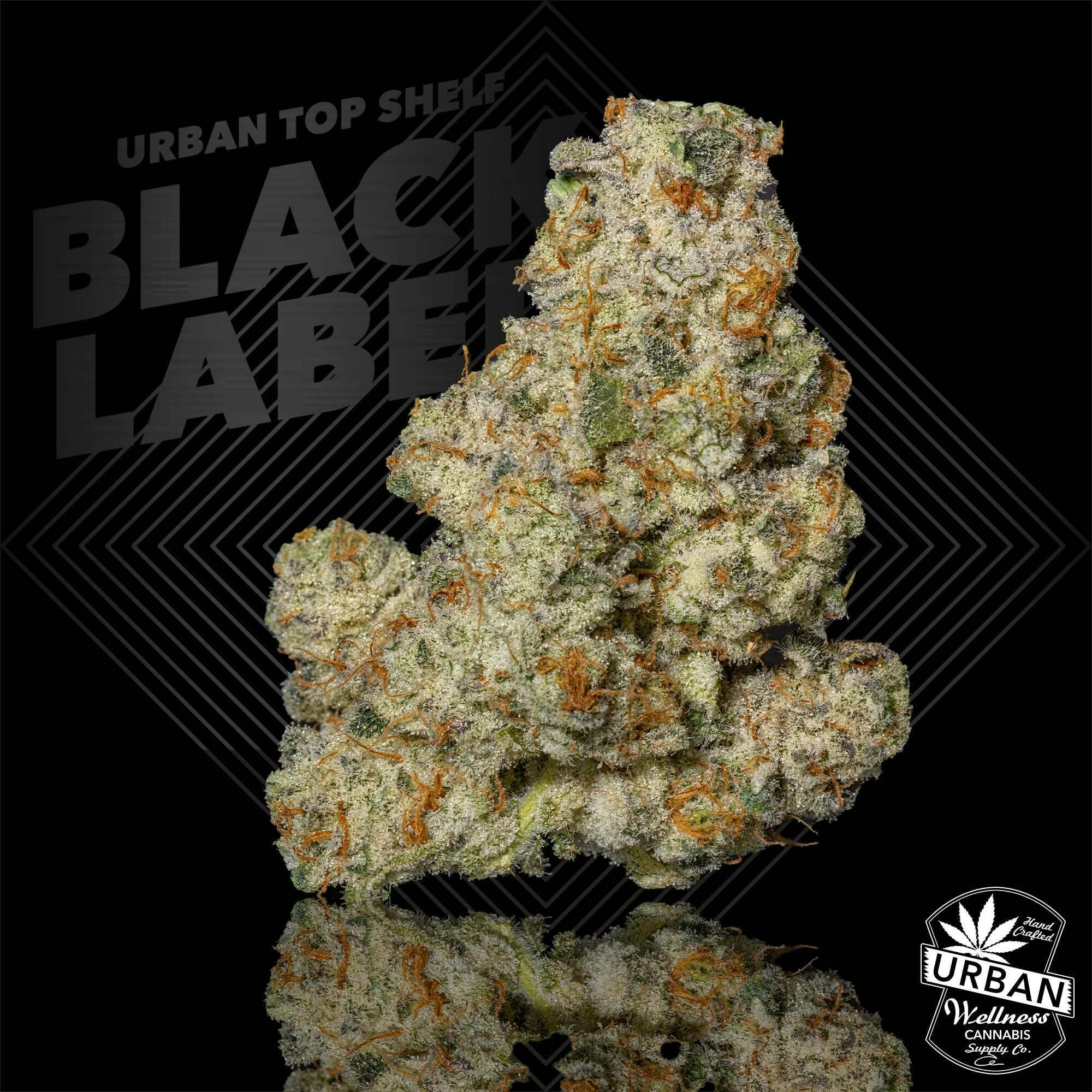 Black Label - Truffle Cake