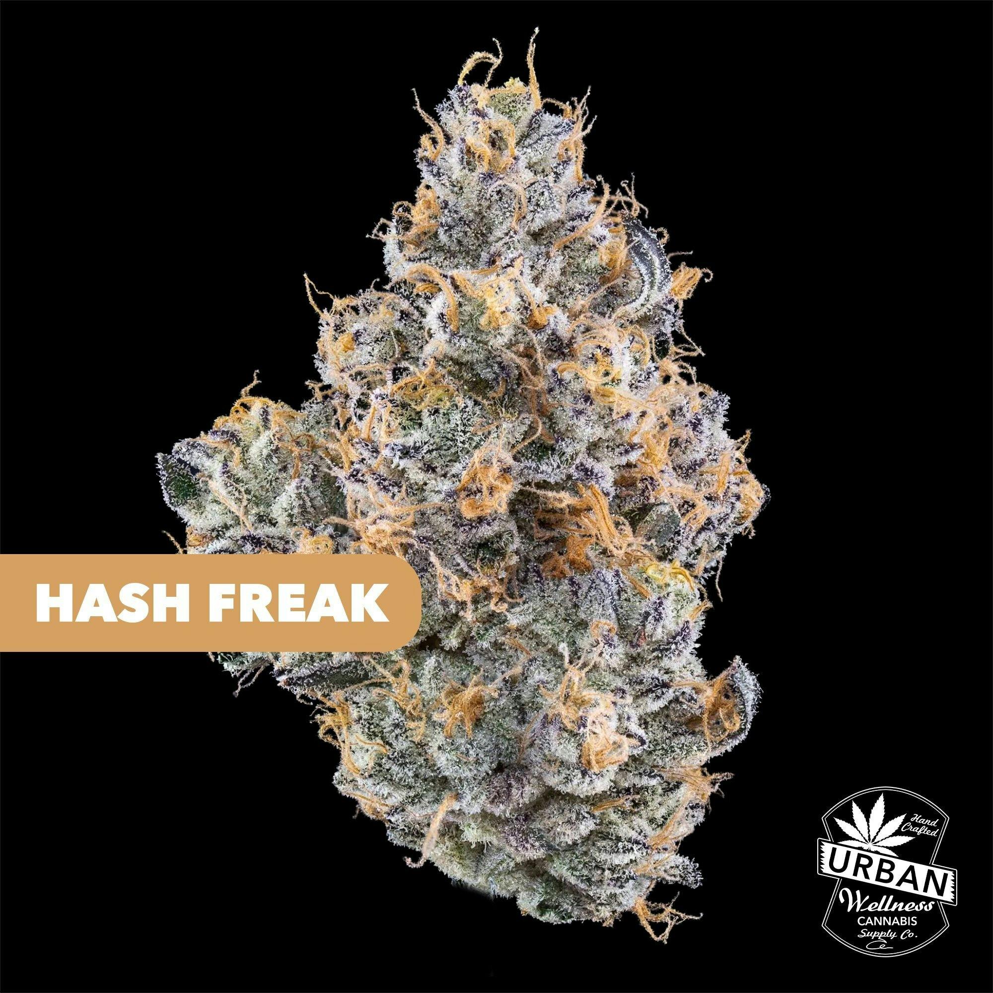 Hash Freak | Urban Wellness