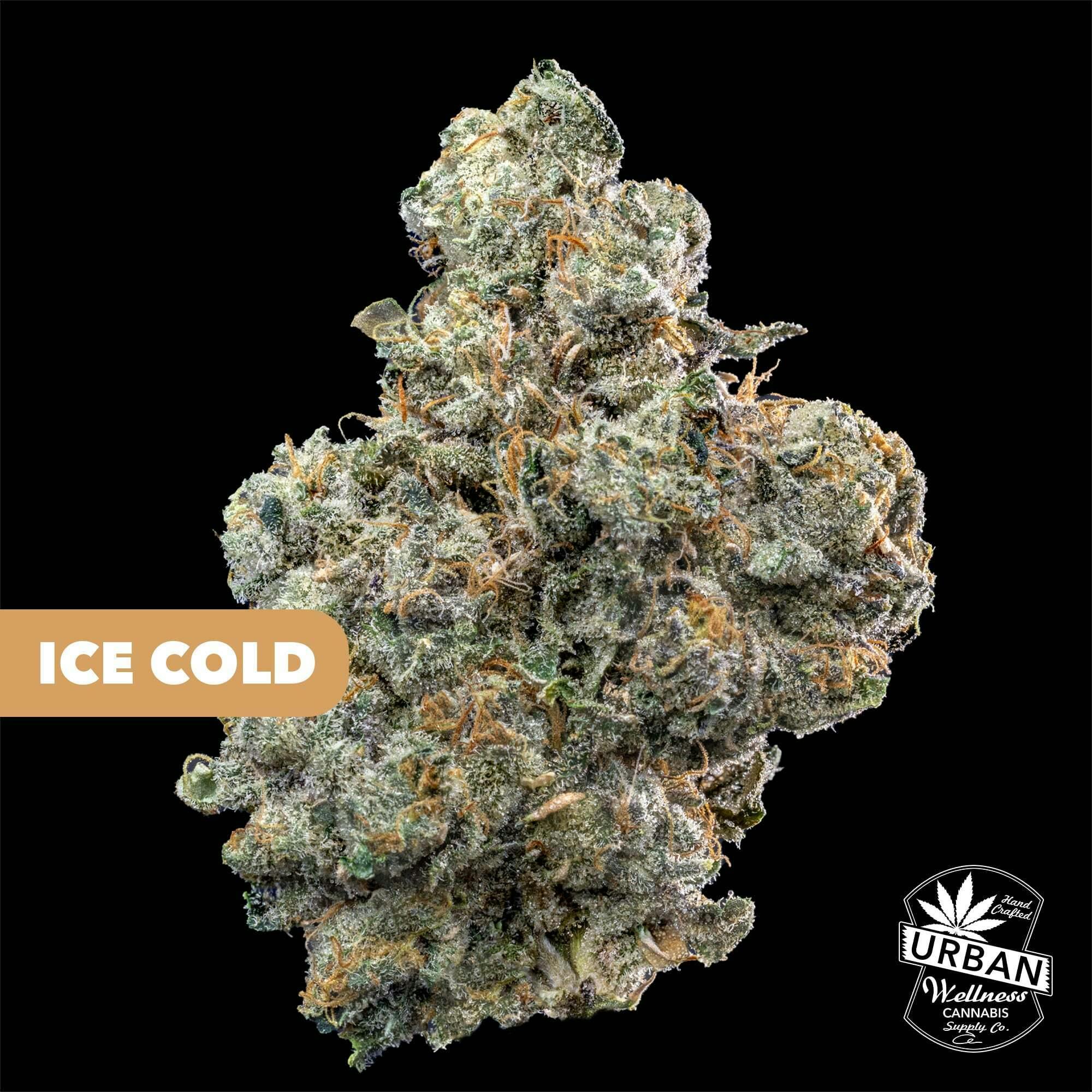 Ice Cold | Urban Wellness