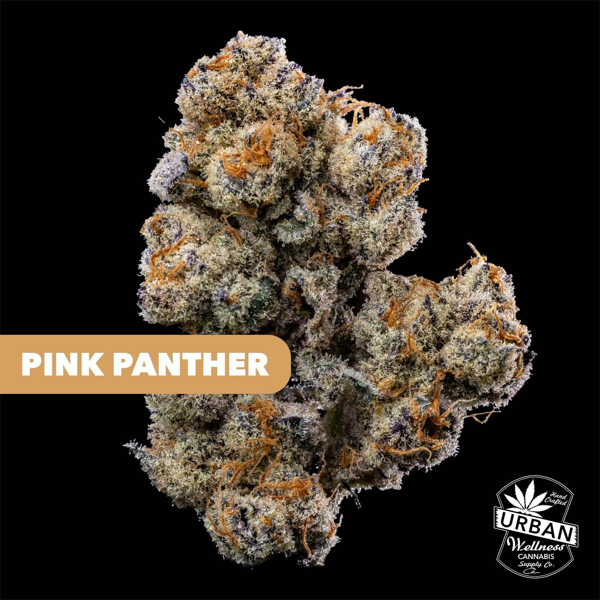 Pink Panther | Urban Wellness - Premium