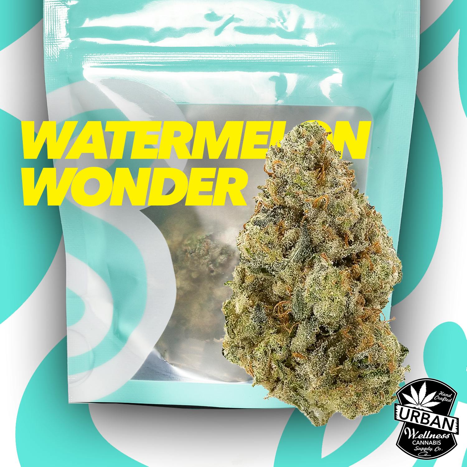 Watermelon Wonder