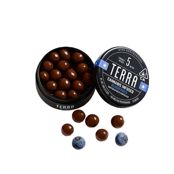 Blueberry Bites — Terra Bites