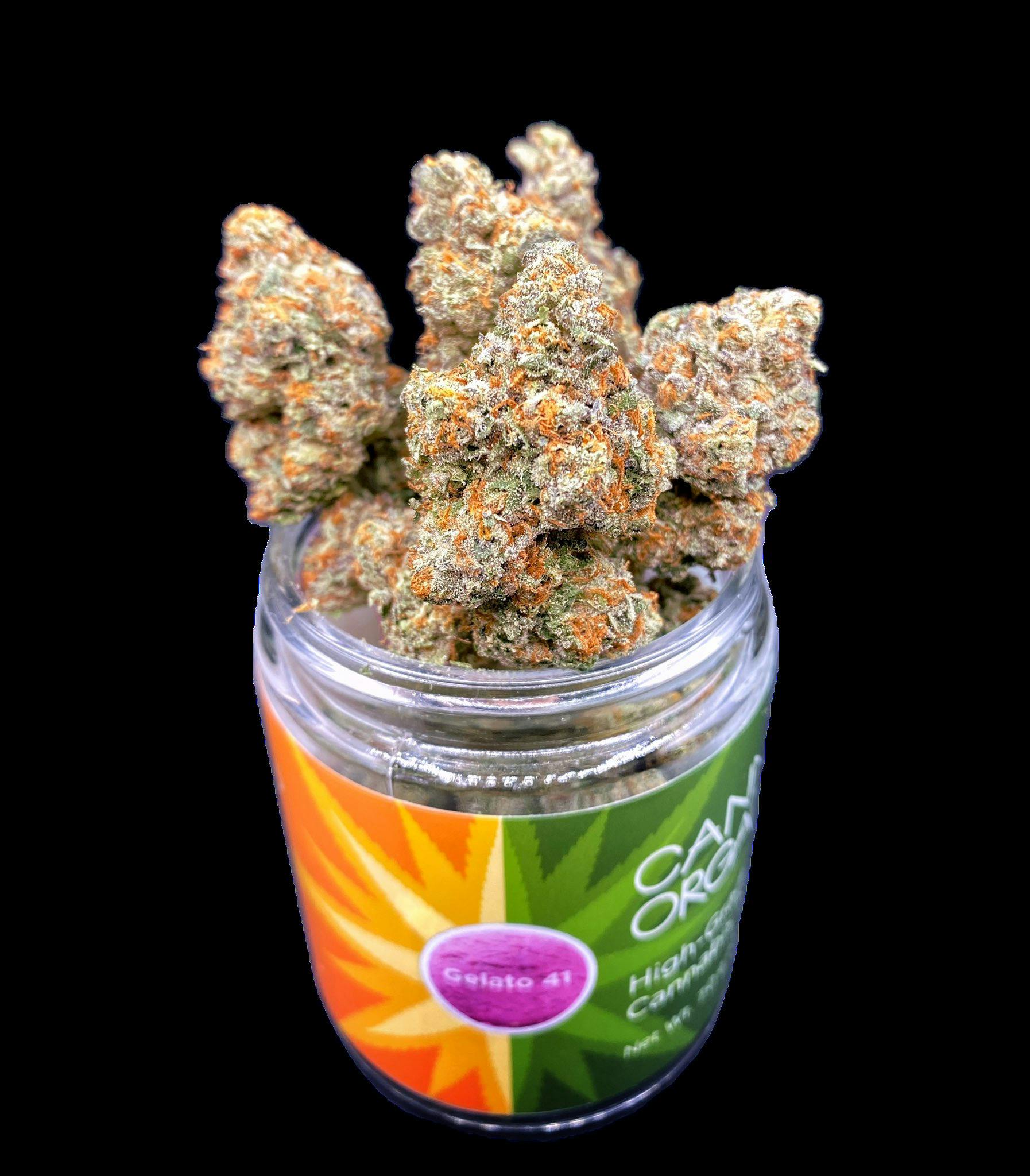 Gelato #41 (14 grams)
