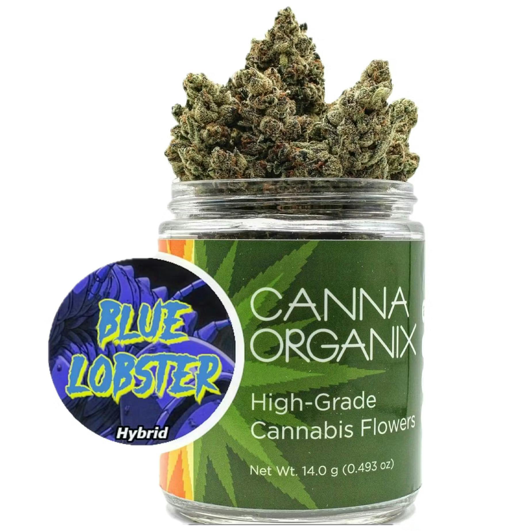 Blue Lobster (1 gram)