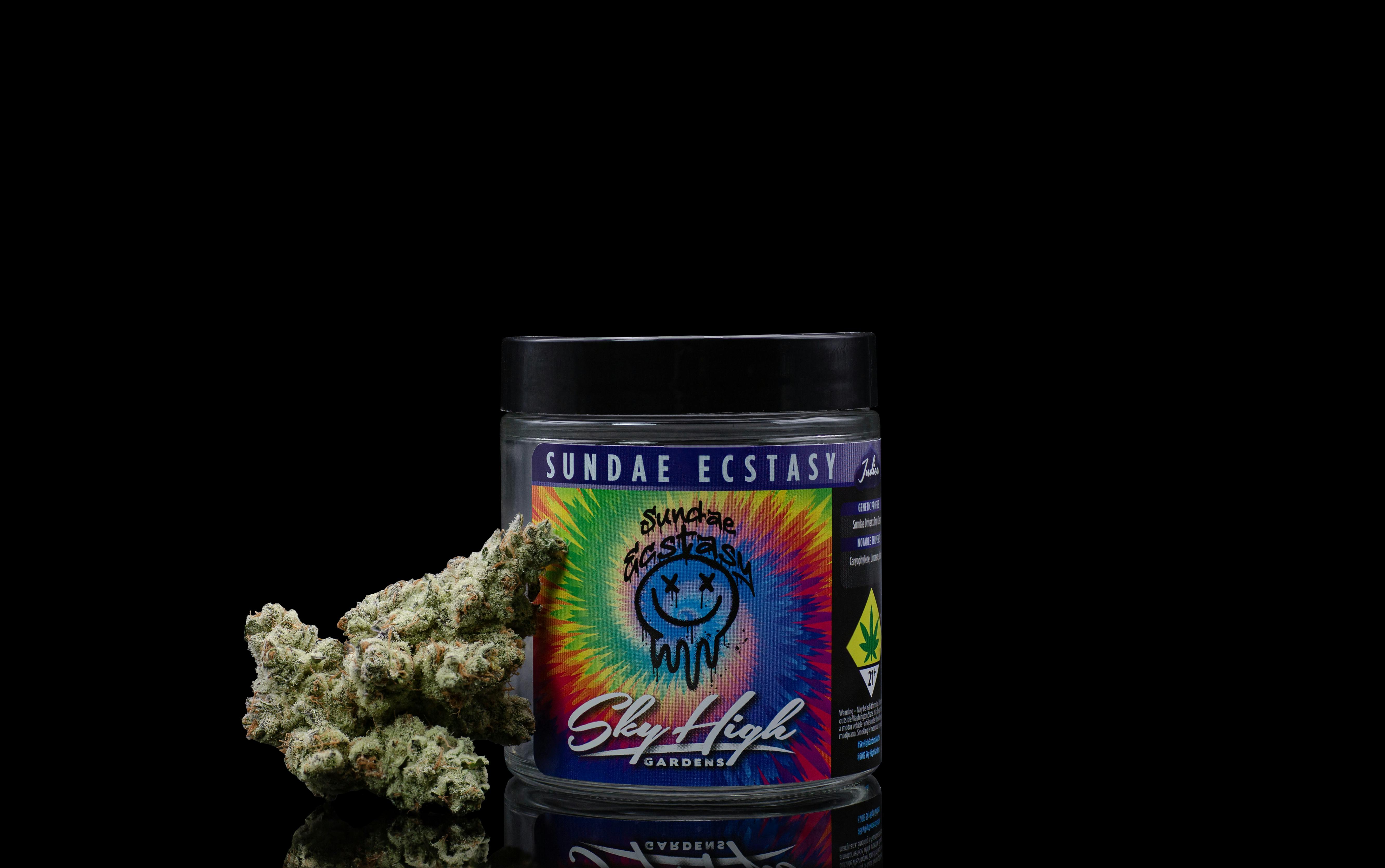 Sundae Ecstacy- 7g- Sky High Gardens