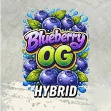 Blueberry OG 1.2g Infused