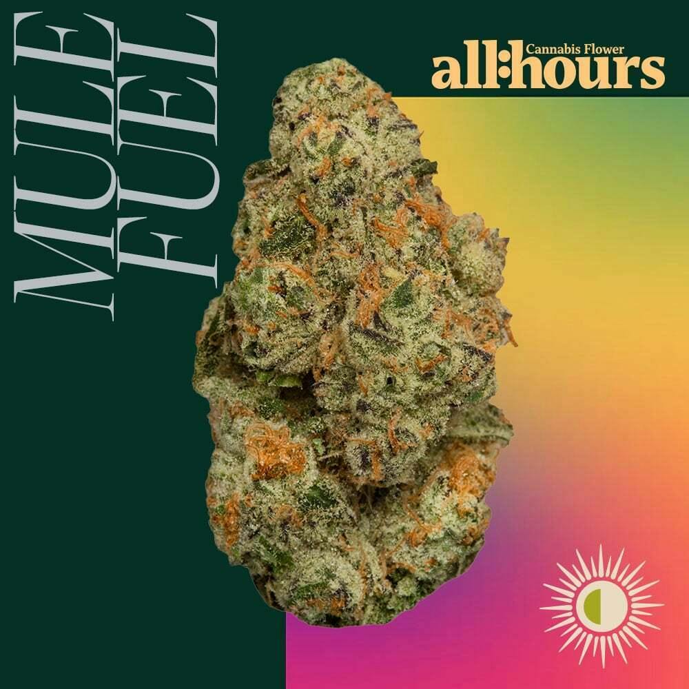 all:hours - Mule Fuel (H) Flower C0040001977