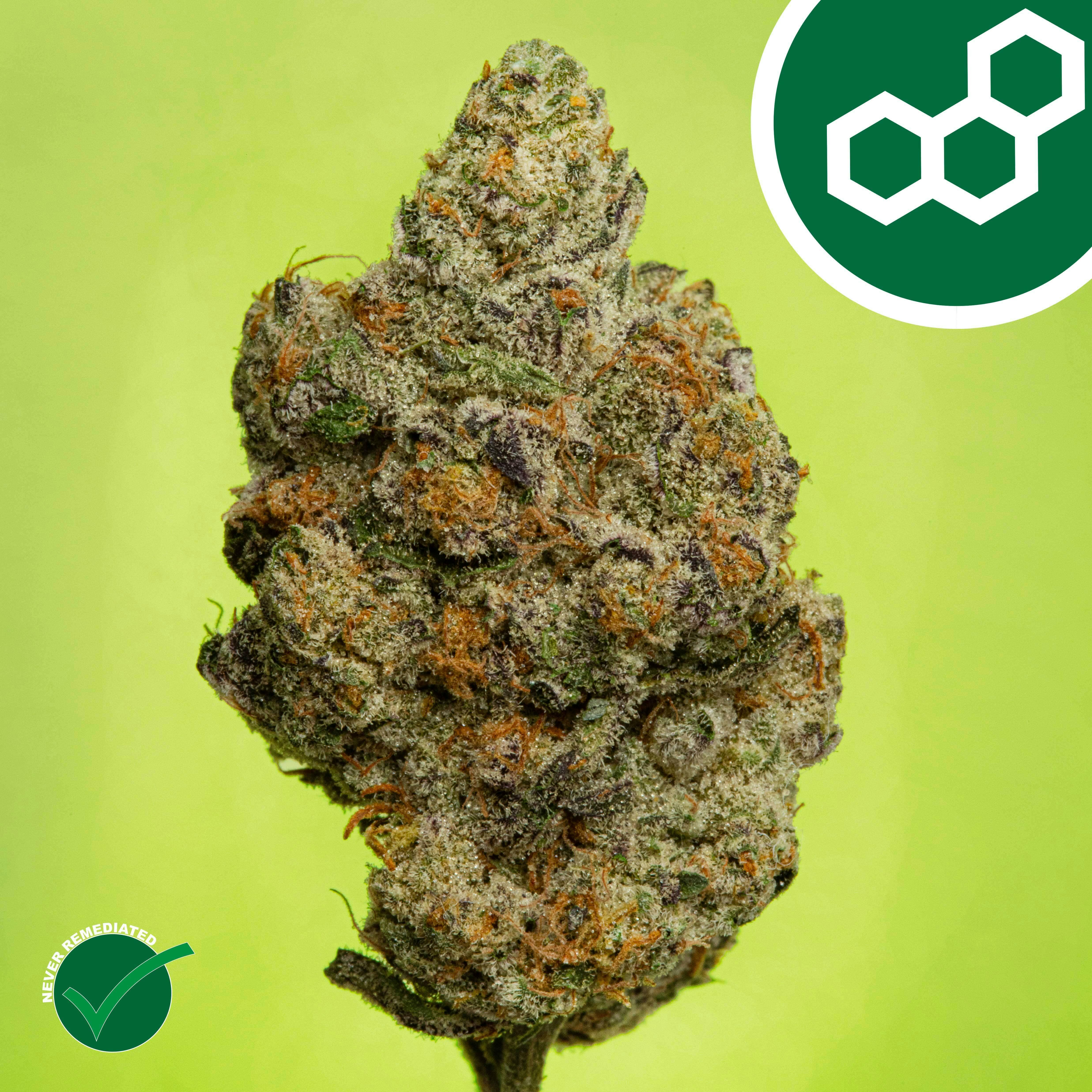 Theraplant - Carbon FBR (H) Flower C0040002085 at Fine Fettle - Bristol Dispensary