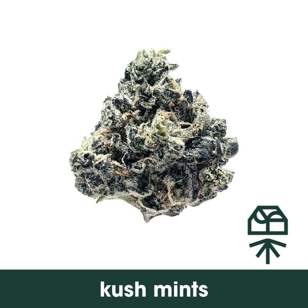 Grassroots - Triple Mints (I) Flower C0030001954