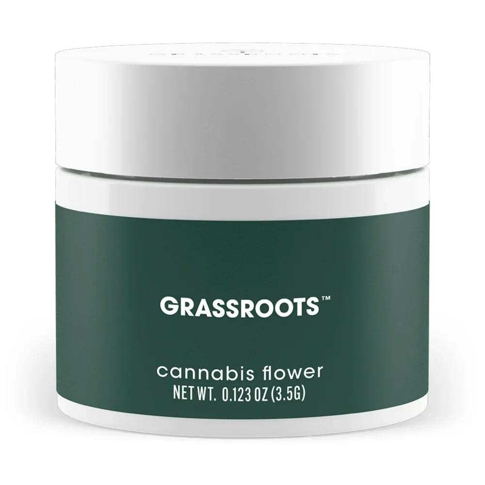Grassroots - Jayna's Sunshine (H) Flower C0030001619