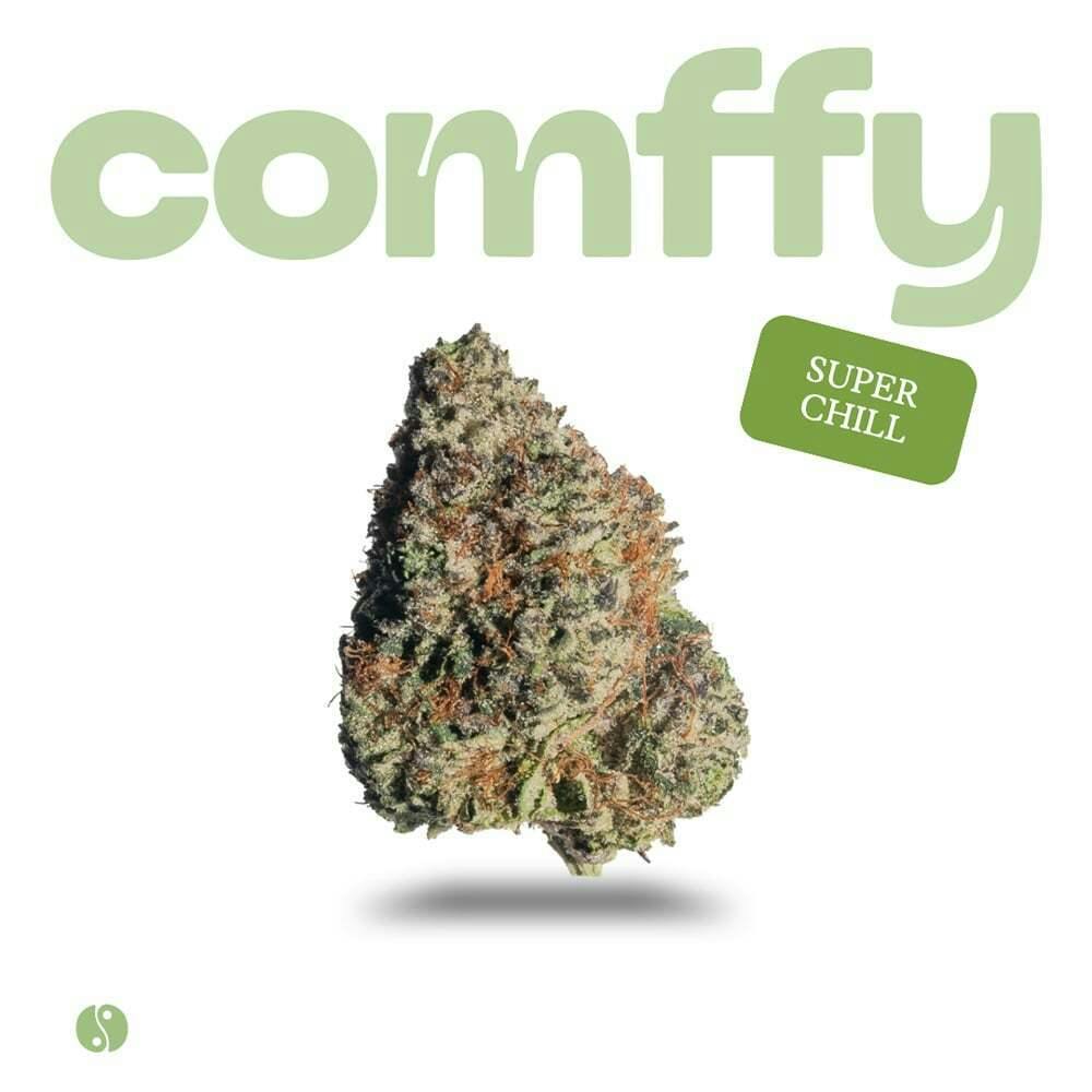 comffy - Super Chill (H) Flower C0140000264