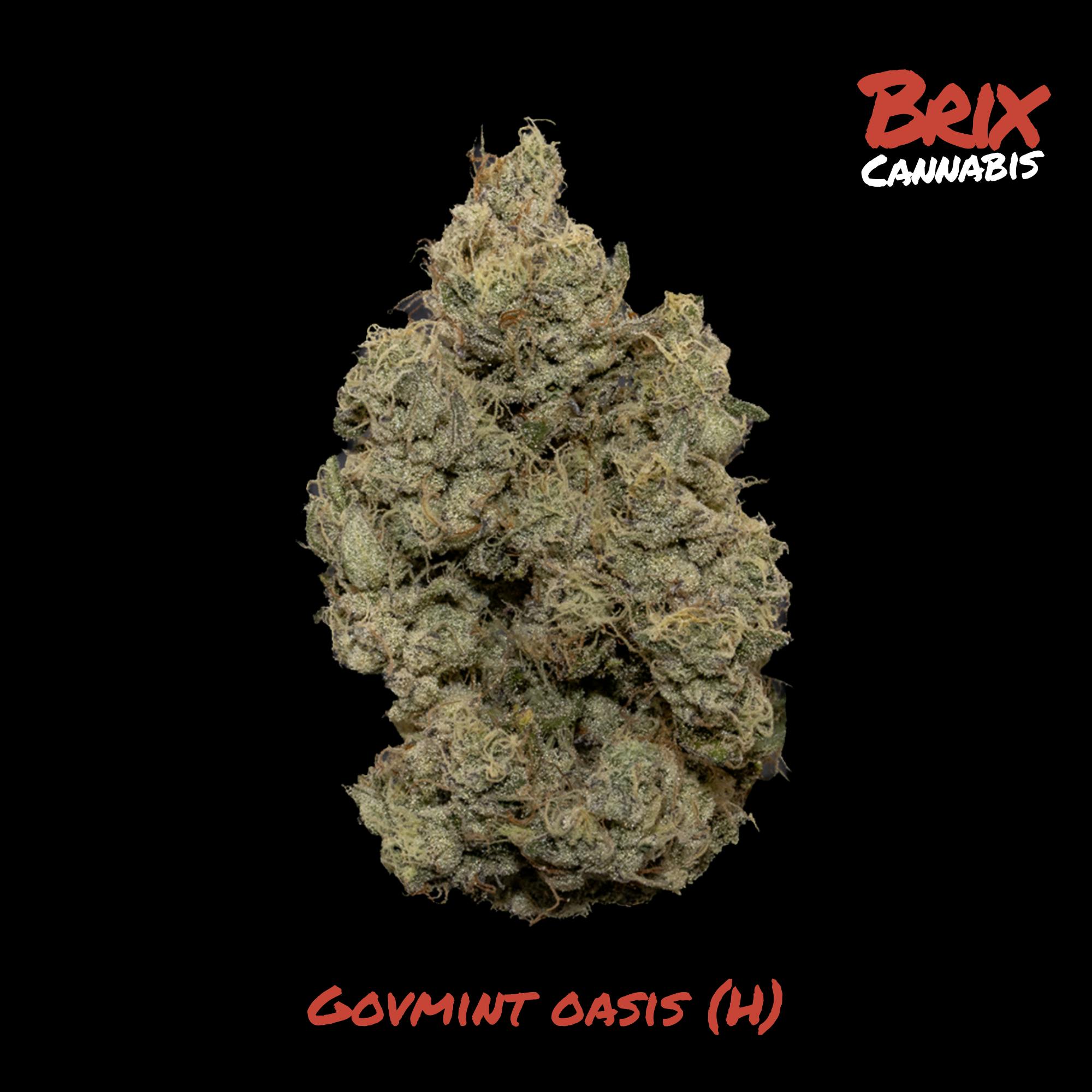 BRIX Cannabis - Govmint Oasis (H) Flower C0101000580