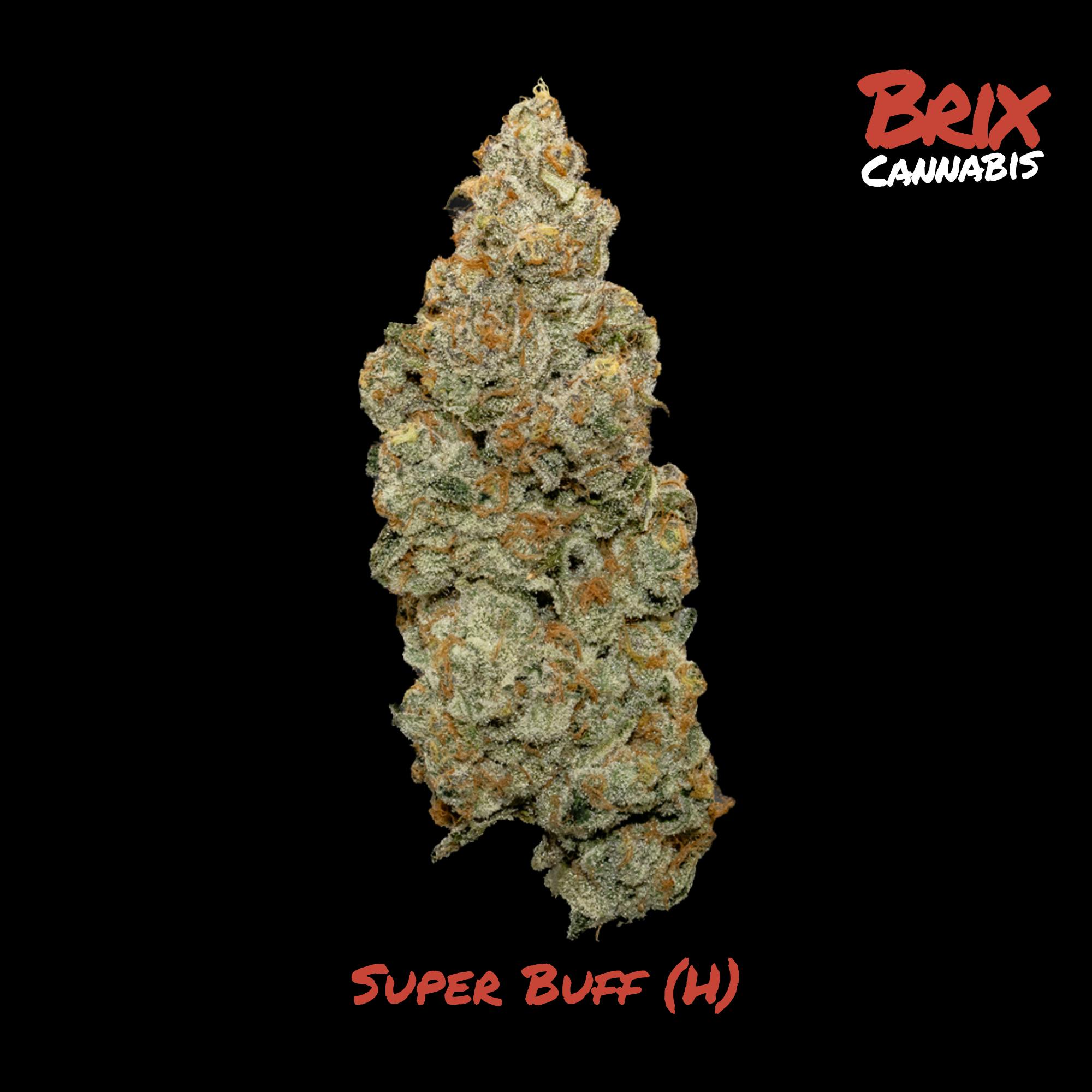 BRIX Cannabis - Super Buff (H) Flower C0101000537