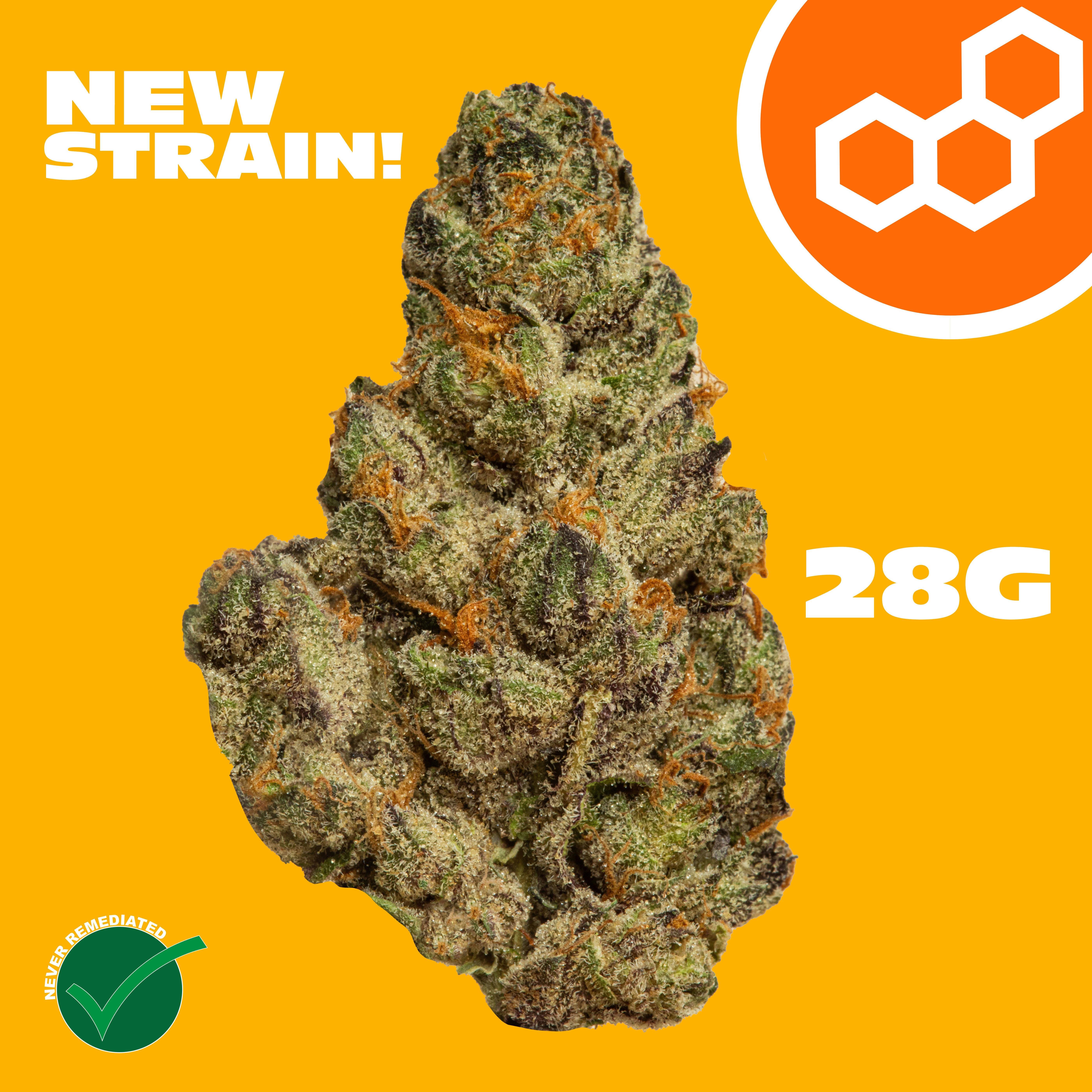 Theraplant - Super Charger (S) Flower C0040001810