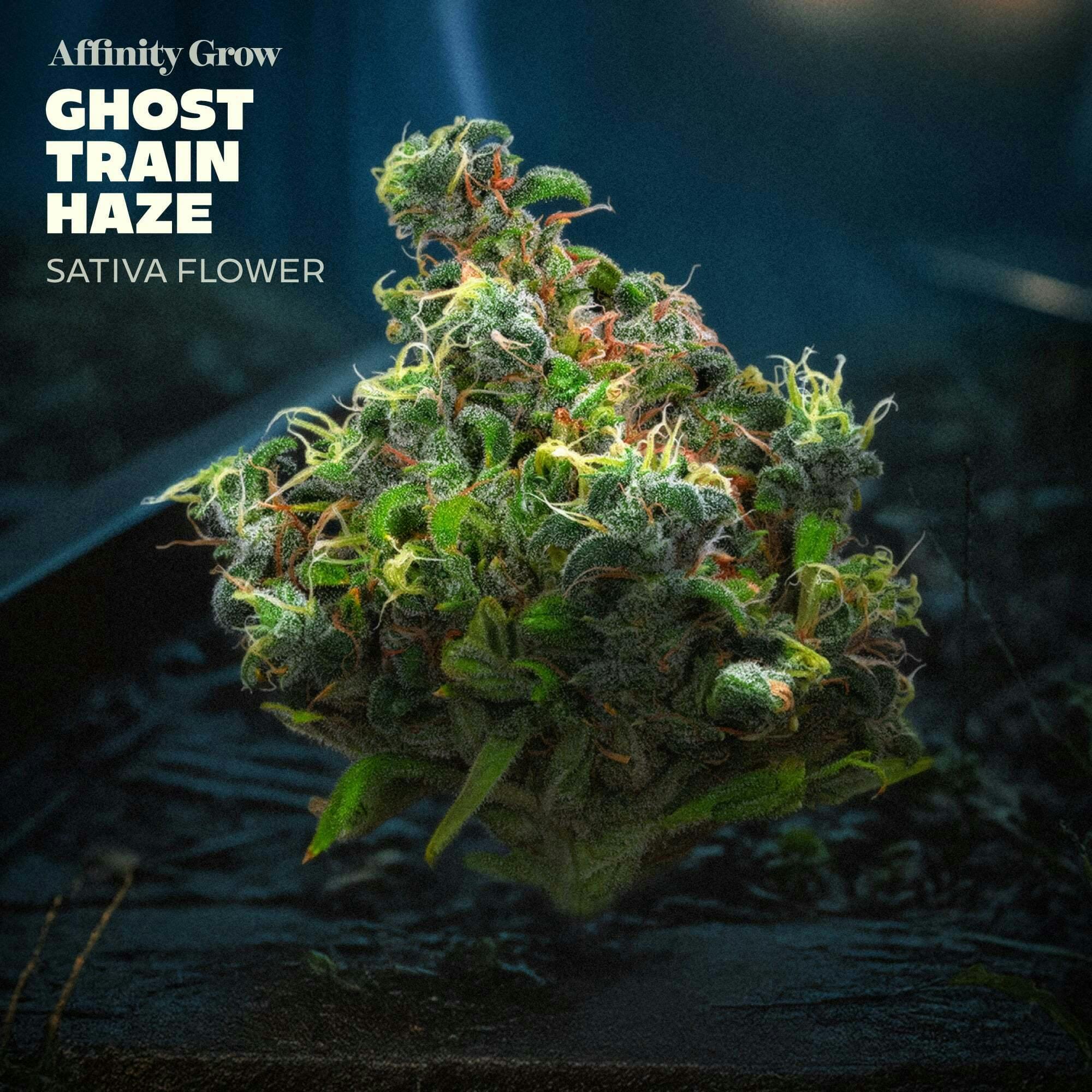 Affinity Grow - Ghost Train Haze (S) Flower C0090000993